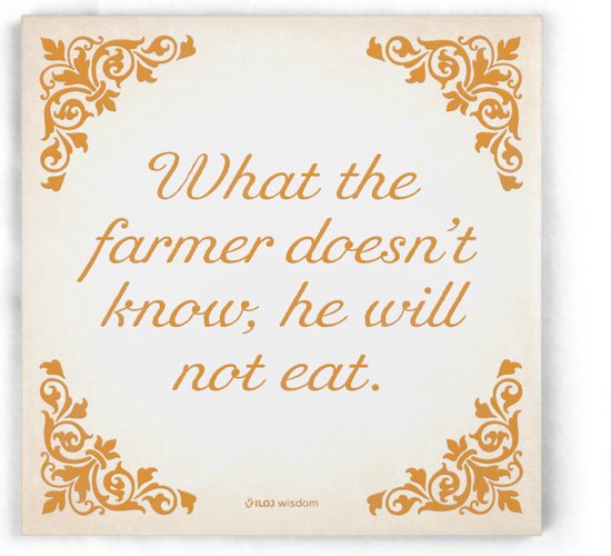 ILOJ wijsheid tegel - spreuken tegel in oranje - What the farmer doesn't know, he will not eat