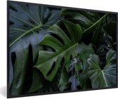 Fotolijst incl. Poster - Monstera met een donkere achtergrond - 60x40 cm - Posterlijst