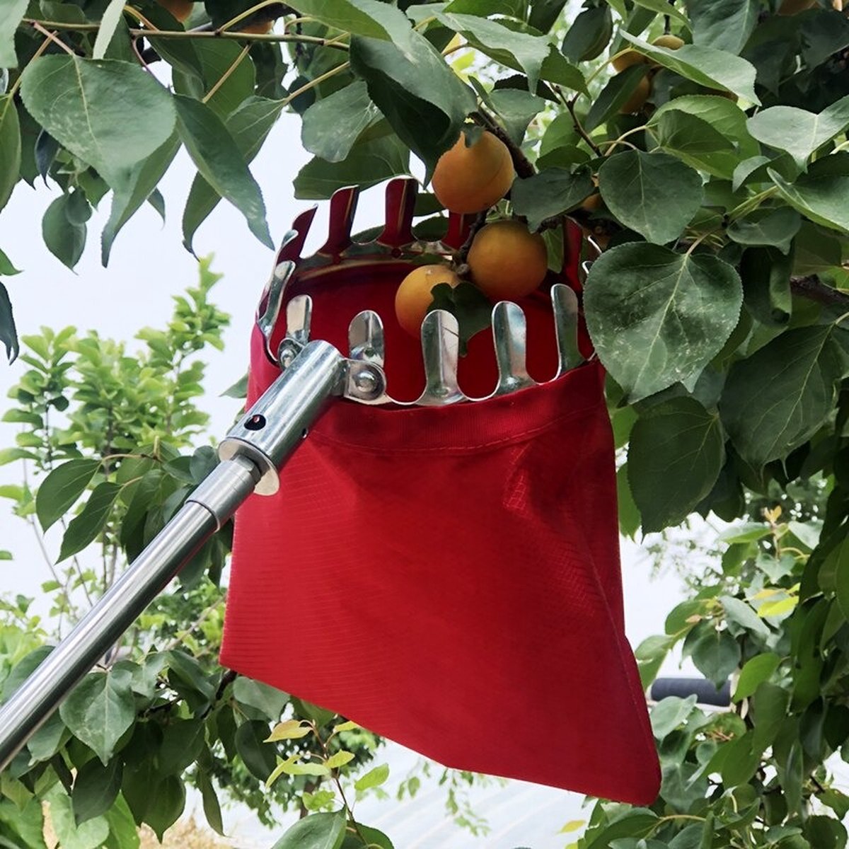 Cueilleur De Fruits Télescopique 4 M - Pince 16 Cm En Acier Inox - Pour Cueillir Sans échelle