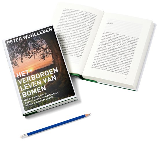 De lange adem van bomen