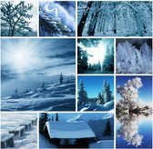 Winter Collage