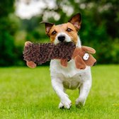 Honden piepend speelgoed met geluid, pluche hondenspeelgoed Puppy tandenreiniging Honden Molair interactief speelgoed voor training