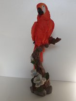 Papegaaien beeld grote rode papegaai 46x20x14 cm