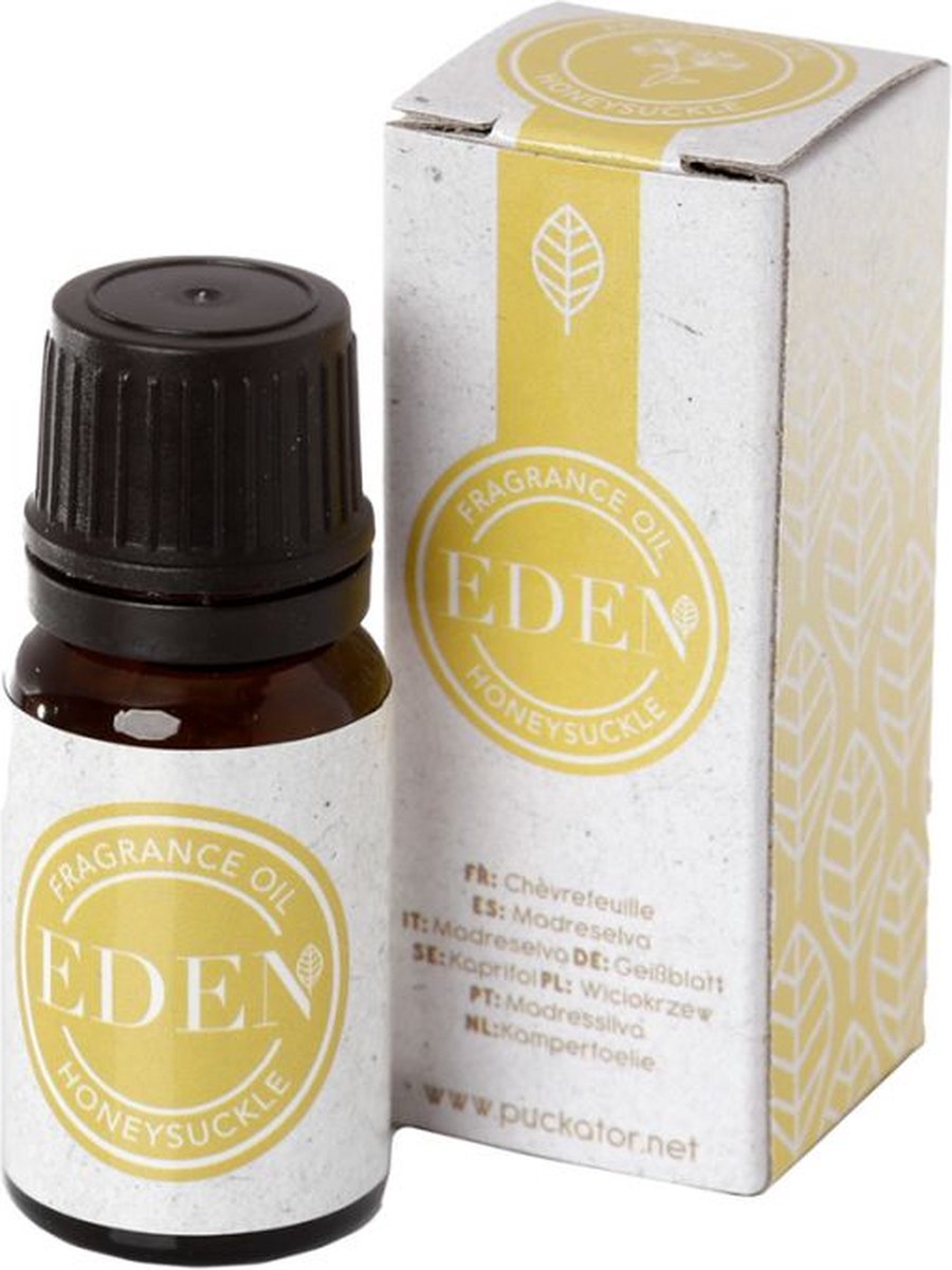 Goedkoopste Geurolie Eden Kamperfoelie 10 ml