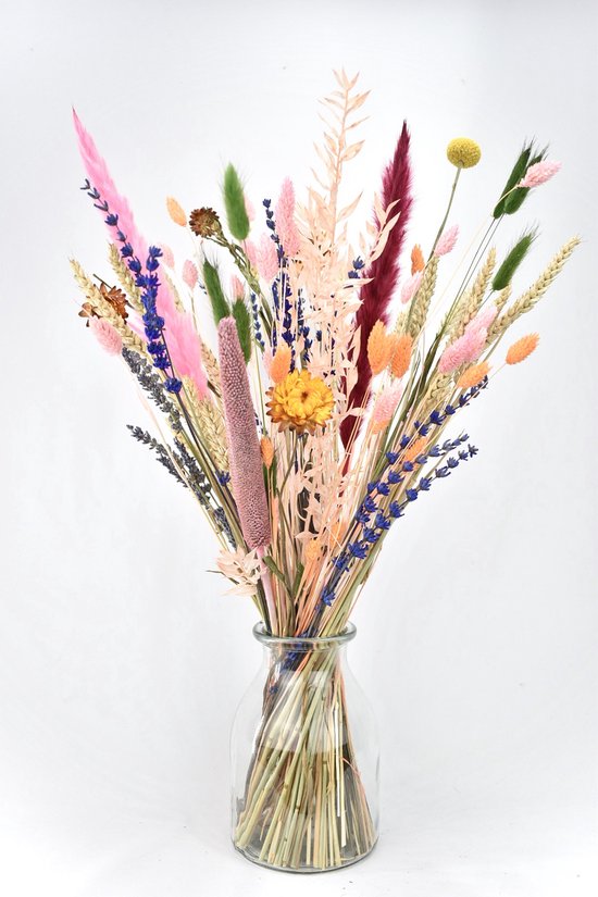 Droogbloemen met vaas - Mixed color - 50 cm - Droogbloemen in vaas - Natuurlijk Bloemen