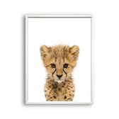 Poster Jungle / safari baby cheeta / Jungle / Safari / 30x21cm