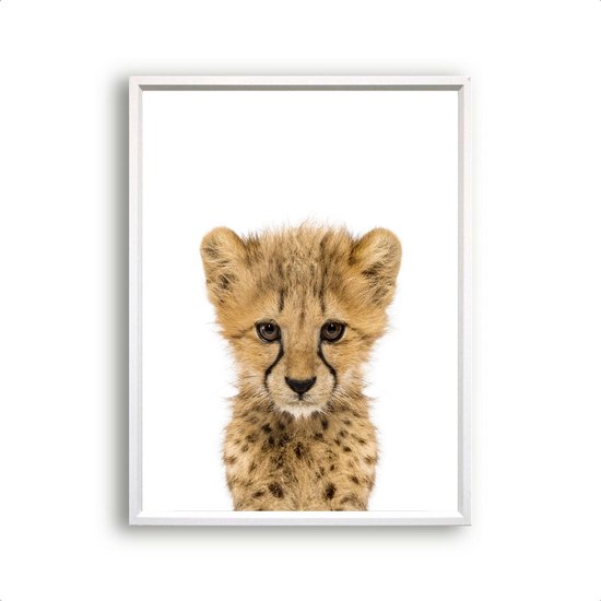 Poster Jungle / safari baby cheeta / Jungle / Safari / 30x21cm
