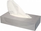 Pak Euro facial 100 tissues 2-laags 21 x 21 cm