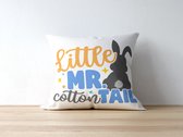 Paas Kussen LittleMrCottonTail | Paas cadeau | Pasen | Paasdecoratie | Pasen Decoratie | Grappige Cadeaus | Geschenk | Sierkussen