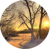 Behangcirkel Winterse Zonsondergang | ⌀ 80 cm | Zelfklevend | Wanddecoratie | Ronde Muursticker | Muurcirkel Binnen