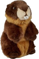 Pluche bruine bever knuffel 18 cm - Bevers knaagdieren knuffels - Speelgoed knuffeldieren/knuffelbeest voor kinderen