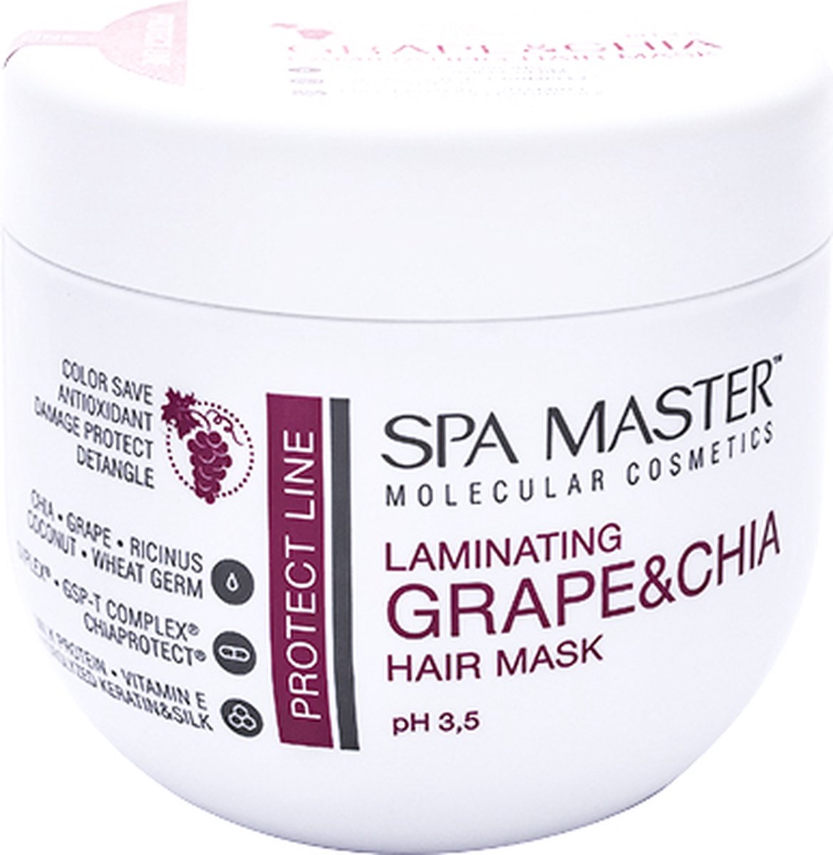 SPA MASTER Color Protect - Haarmasker - Speciaal voor Gekleurd Haar - Antioxidanten en Vitamine E - 500ML
