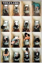 Toiletcam poster - wc - humor - collage - 61 x 91.5 cm