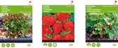 Aardbeien zaden in 3 soorten | Bosaardbei | Aardbeien Grandian F1 | Hangaardbei Ruby Ann F1 roodbloeiend Kweek je eigen aardbeien hemel!