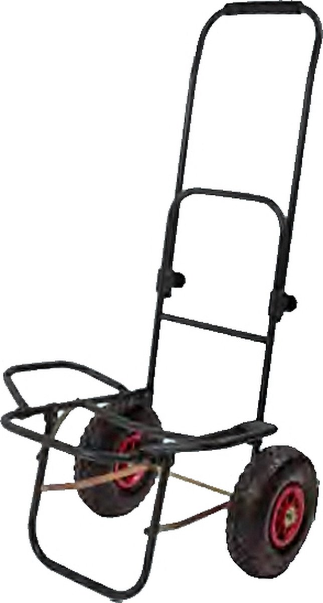 Acis Trolley lion Sports Viskar