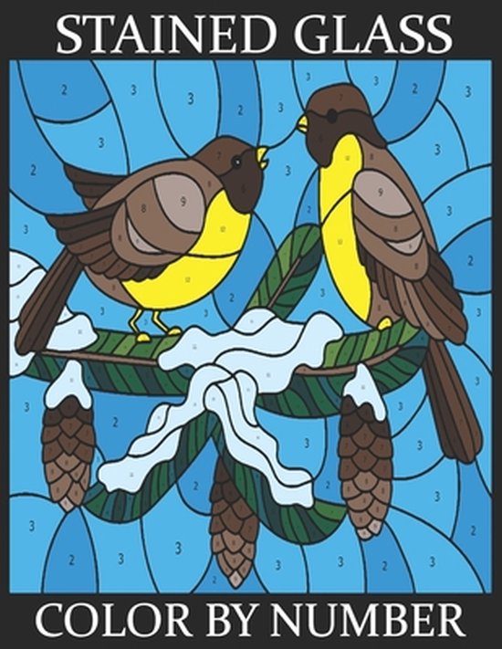 Stained Glass Color By Number An Adult Coloring Book with Stress