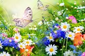Tuinposter - Bloementuin met Vlinders - omgezoomde rand - 120x80cm