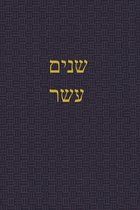 A Journal for the Hebrew Scriptures - Nevi'im-The Book of the Twelve