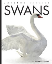 Amazing Animals- Swans