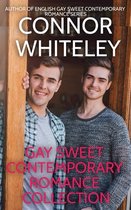 Gay Sweet Contemporary Romance Stories- Gay Sweet Contemporary Romance Collection