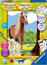Schilderen op nummer Serie Classic Paard