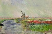 poster Verkerke Claude Monet - Champ de tulips en Hollande 93 x 62