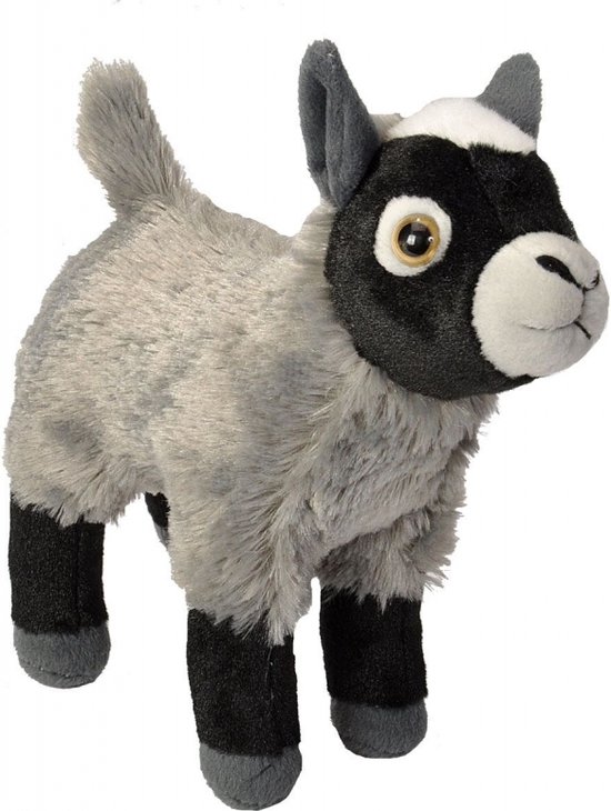 Wild Republic Rainforest Coati Pluche dier, 15 cm, knuffeldier, gevuld met gerecyclede waterflessen