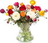 e-bloom | Vrolijke Ranonkels - Verse lentebloemen - ca. 50 cm