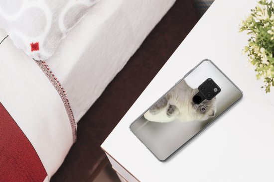 Coque Huawei P40 Lite - Chat - Animal - Salon - Coque de téléphone en Siliconen