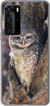 Telefoonhoesje Geschikt voor Huawei P40 Pro hoesje - Uil - Boom - Bos - Siliconen Telefoonhoesje