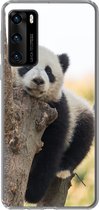Geschikt voor Huawei P40 hoesje - Panda - Boom - Licht - Siliconen Telefoonhoesje