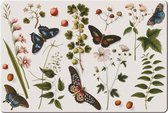 Bekking & Blitz - Placemat - Kunststof placemat - Kunst - Botanische kunst - Vlinders - Bloemen - Collage - Joseph Jakob von Plenck - The Fitzwilliam Museum Cambridge