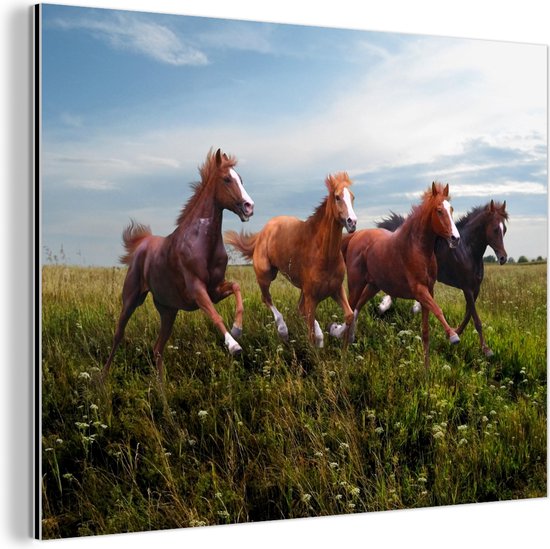 Décoration murale Métal - Peinture Aluminium - Chevaux courant dans la neige - 40x30 cm - Dibond