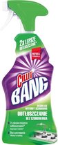 CILLIT BANG Cleaning Spray Degreaser - Grease & Blink - 12 x 750ml - package avantage - Nettoyant tout usage
