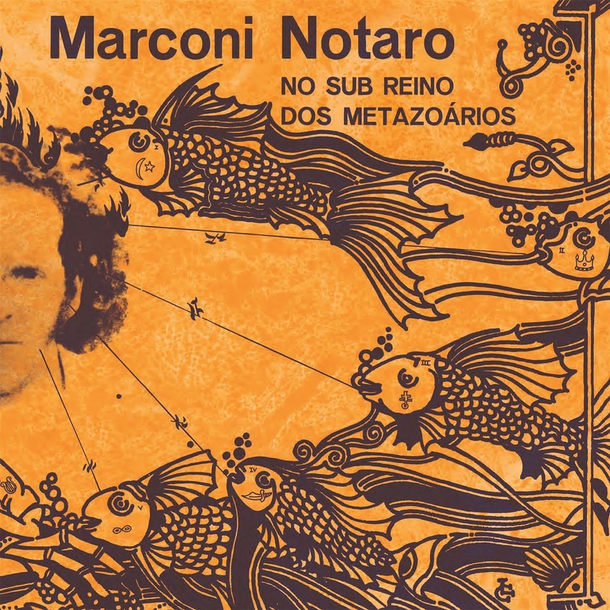 Marconi Notaro - No Sub Reino Dos Metazoários (LP)