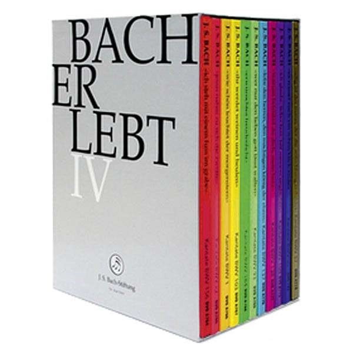 Chor & Orchester Der J.S. Bach-Stiftung, Rudolf Lutz - J.S. Bach: Bach Erlebt ViI (11 DVD)