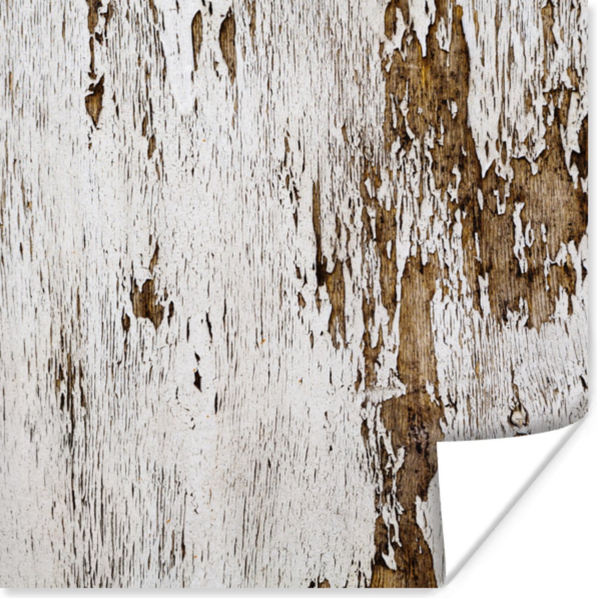 Poster Hout - Rustiek - Boom - 30x30 cm