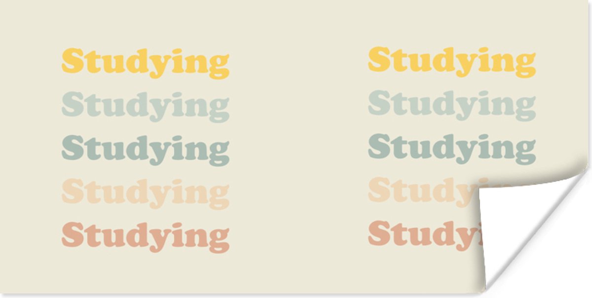 Poster Quotes - Studenleven - Leren - Studenten - 80x40 cm