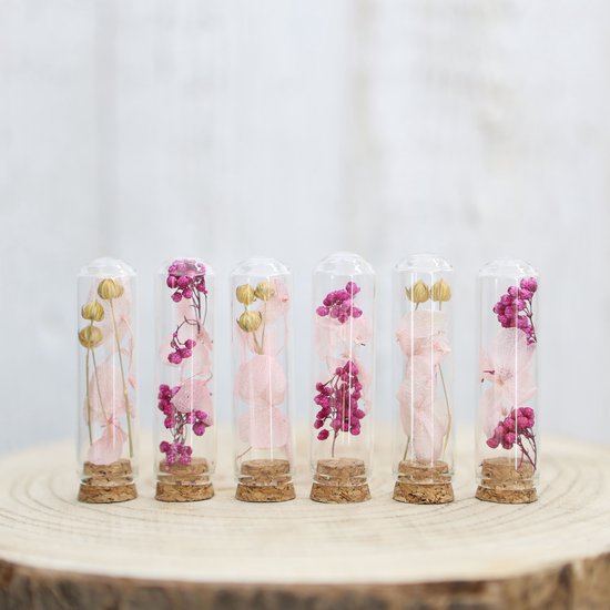 Comforder Droogbloemen Boeket in Mini vaas - Set van 6 Gedroogde Bloemen met Glas - Moederdag Cadeautje