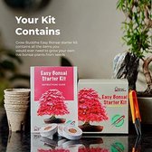 Kweek je eigen Bonsai kit - Kweek eenvoudig 4 soorten Bonsai bomen met onze complete beginnersvriendelijke Bonsai Zaden Starter kit - Unieke Zaadkit kit Gift idee