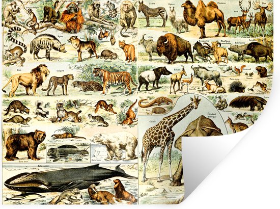 Muurstickers - Sticker Folie - Dieren - Giraffe - Beer - 120x90 cm - Plakfolie - Muurstickers Kinderkamer - Zelfklevend Behang - Zelfklevend behangpapier - Stickerfolie