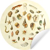 Wallpaper Circle - Coquillages - Animaux aquatiques - Vintage - ⌀ 30 cm - Wall Circle - Auto-adhésif - Wallpaper Sticker
