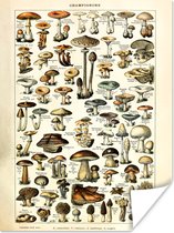 Posters Vintage - Natuur - Paddenstoelen - Adolphe Millot - Kamer decoratie aesthetic - Muurposter - Aesthetic poster - 90x120 cm