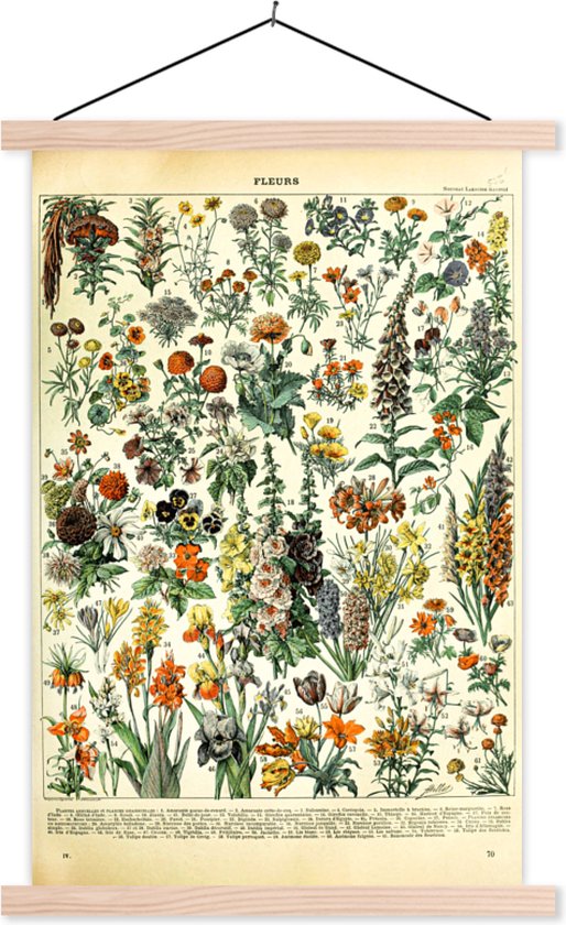 Posterhanger incl. Poster - Schoolplaat - Bloemen - Planten - Vintage - Adolphe Millot - Kunst - 120x180 cm - Blanke latten