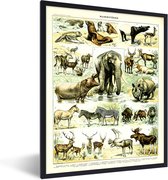Affiche avec cadre Animaux - Éléphant - Cerf - 30x40 cm