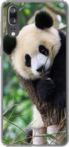 Geschikt voor Huawei P20 hoesje - Panda - Dieren - Jungle - Natuur - Siliconen Telefoonhoesje