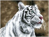 Diamond Dotz Dotz � � Peinture au Diamond : Tiger Blanc: 31x41 cm
