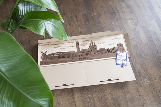 Houten skyline van Zwolle in een open kartonnen doos, met Nederlandse plaatsnamen.