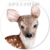 Muurcirkels Bambi hertje 22cm - 10 stuks | Wooncirkel | woondecoratie | bedrijven | wandcirkel