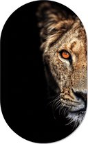 Muurovaal lioness XS - 40 x 25 cm